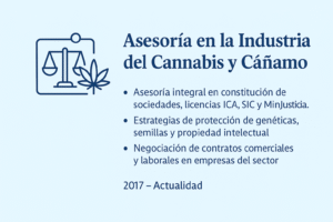 chatgpt image 22 ago 2025, 03 00 16 p.m.